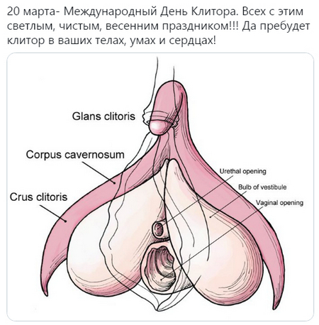 Все любят секс
