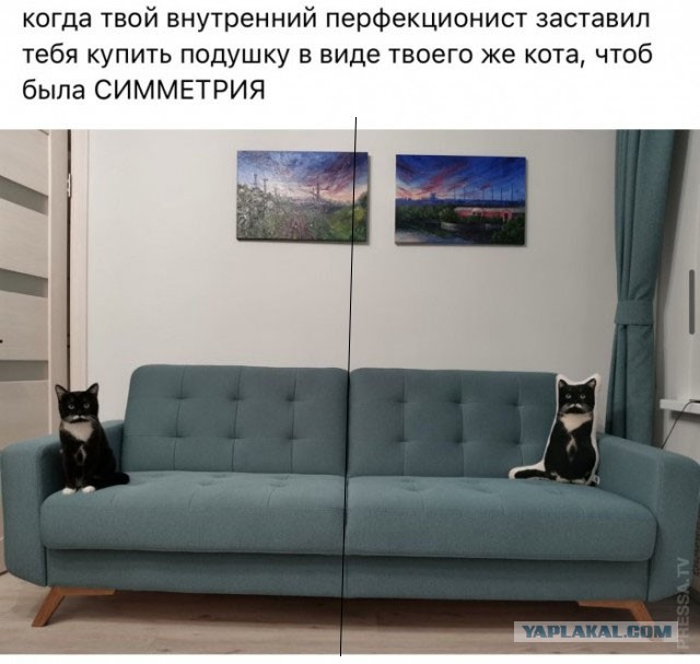 Картинки и мемы для настроения 005
