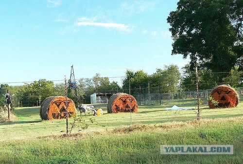 Сено косить - не мелочь по карманам тырить