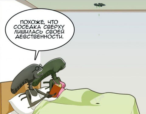 Картинки для тех, кого не убило похмелье