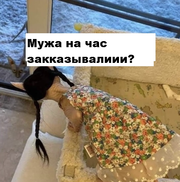 Подруга Голлума