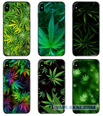 Суд Новгородской области оштрафовал женщину на 4 000 р. за пропаганду наркотиков из-за чехла с изображением конопли