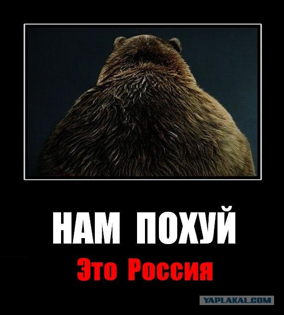 Нас ненавидят почти все в интернете.