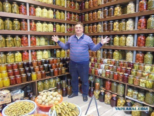 Первые всходы