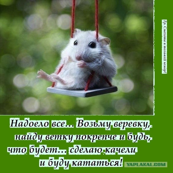 РСП