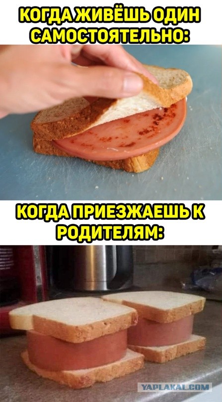 Весёлый полтишок 19.05.22