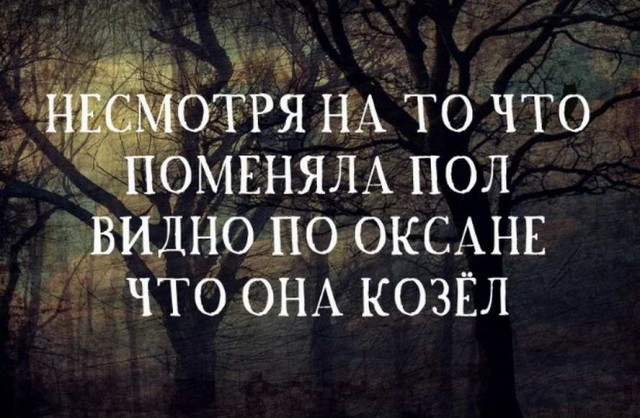 Забавные шутки, фразы, картинки из этих ваших интернетов