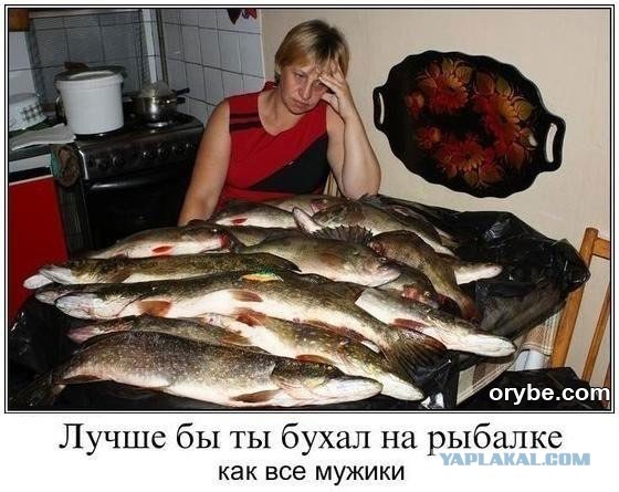 40 кг рыбацкого счастья выглядят примерно так