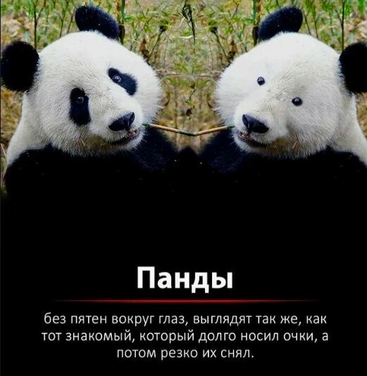 Картинки и мемы для настроения. Выходные рядышком...