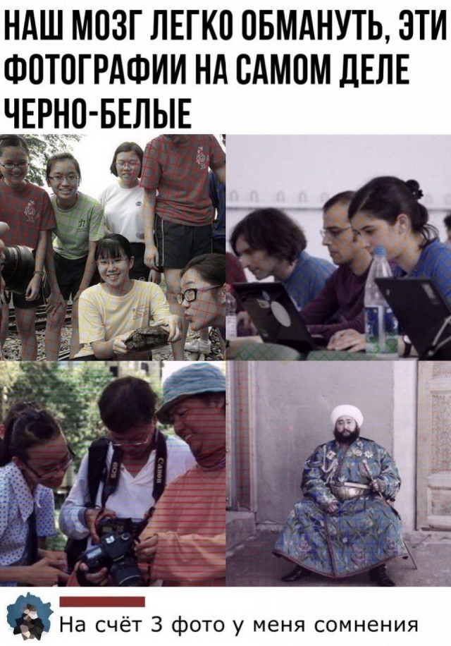 Немного картинок."Колбасный ветер". Август