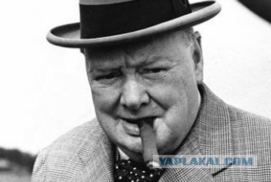 Идеальное воплощение здоровья…