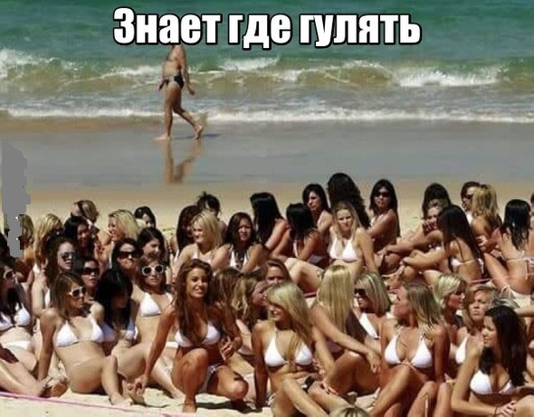 Картинки и мемы, всем хороших выходных