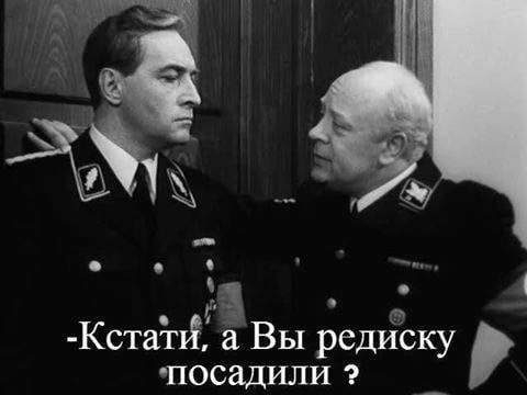 Немного картинок для настроения - 177