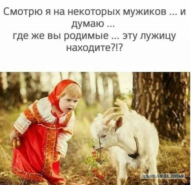 Так себе картинки 17.07.23