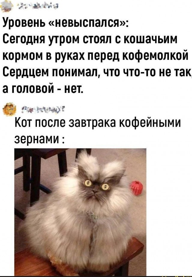 Просто картинки из сети