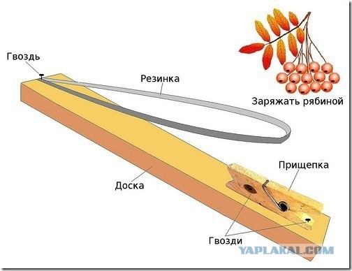 Школьные игры последних пионеров(80тые)