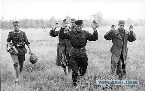 Плакаты с призывом к французским военным сдаваться в плен появились у посольства Франции в Москве