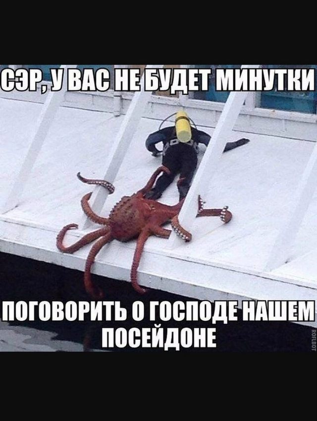 Завалялось тут случайно немного забавных картинок