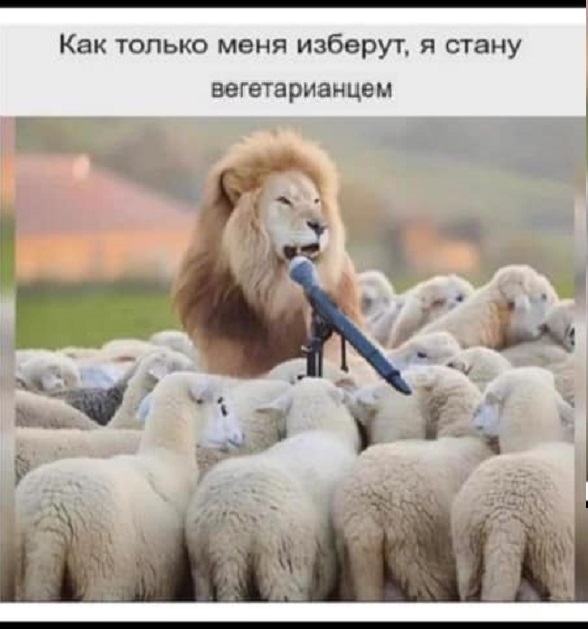 Картинки разные с надписями и без
