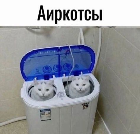 Так себе картинки 30.10.24