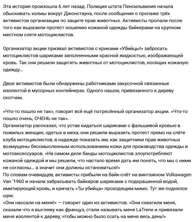 Так себе картинки 14.11.24