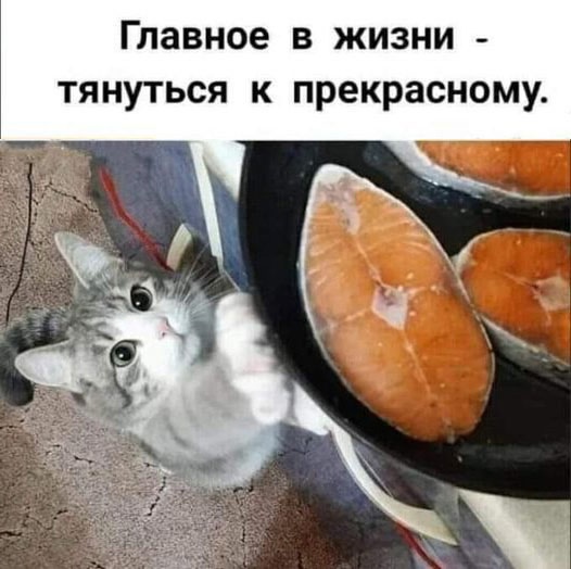 Так себе картинки 11.02.25