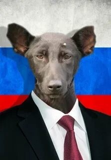 Азовский рыбзавод