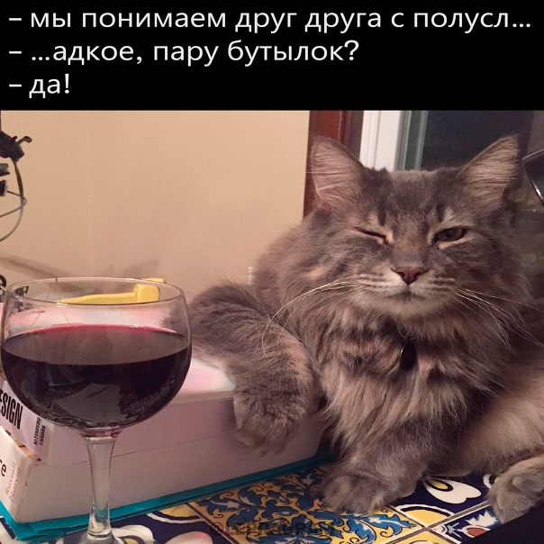 Картинки для деградации-4 (разной степени свежести)