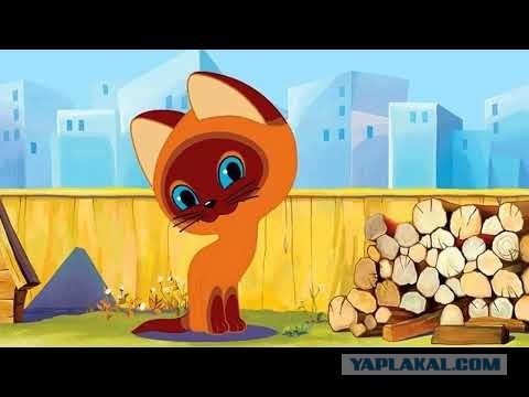 Котовторник . Как назвать бандита ?)