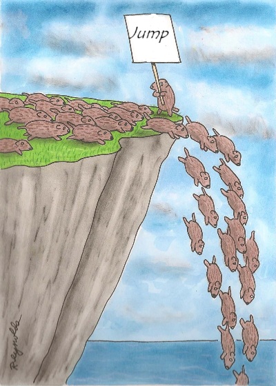Beef on a cliff
