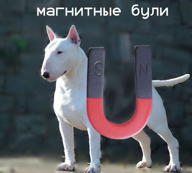 Прикольные и просто красивые картинки 06.02.2026
