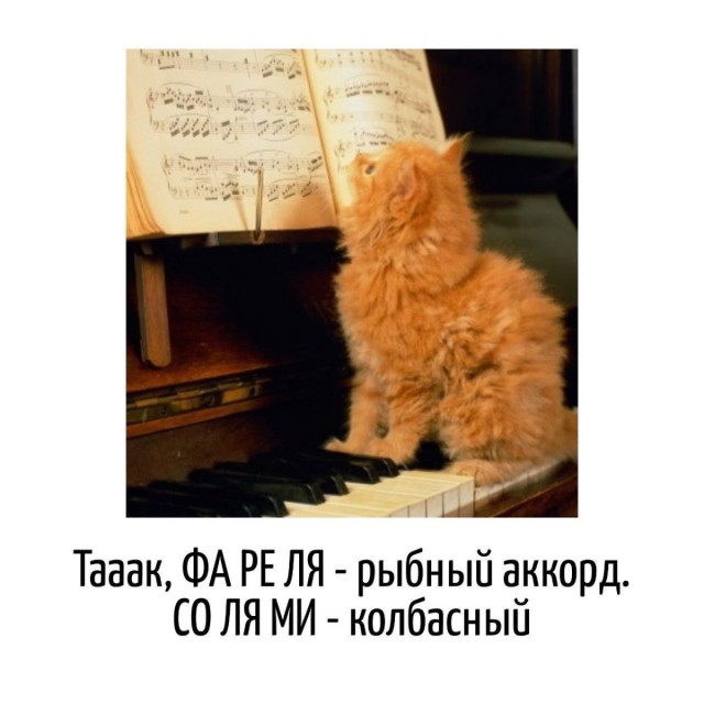 Подборка картинок-баянов с котиками и про котиков. Выпуск 30.
