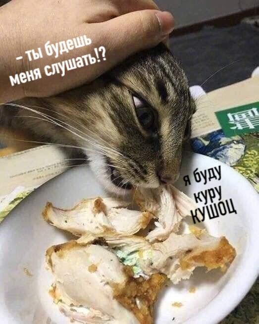 Немного картинок на ночь