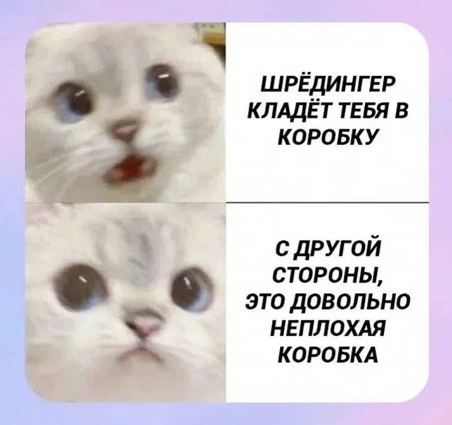 Картинки для деградации 185 (разной степени свежести)