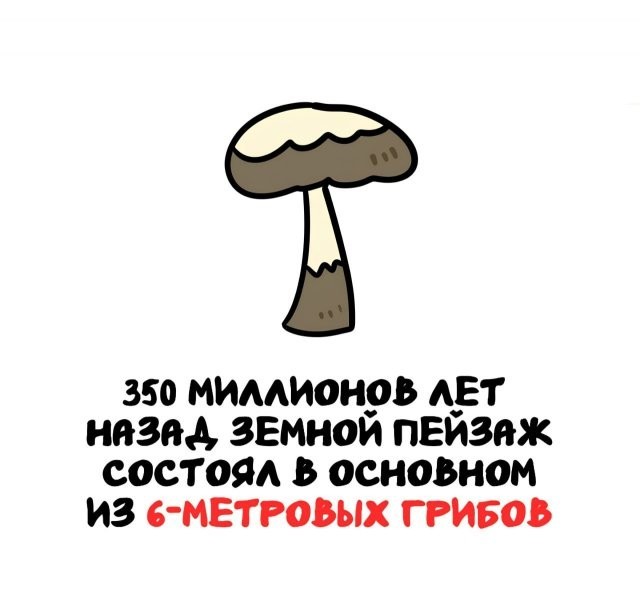Интересные и короткие факты, на все случаи жизни
