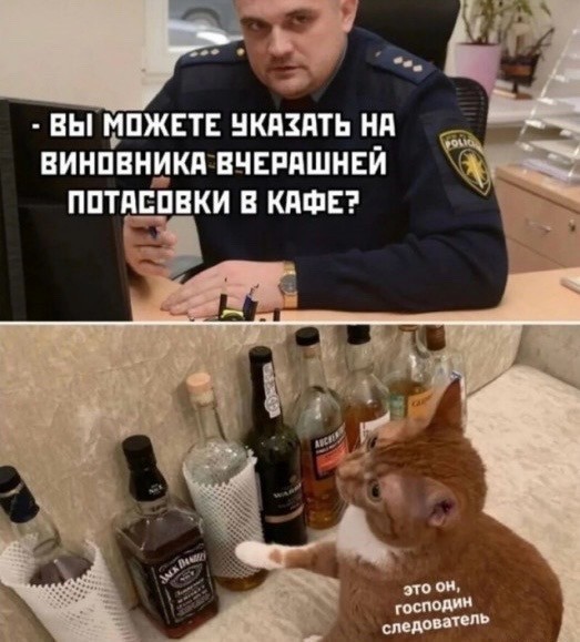 Мемы и картинки про трезвость