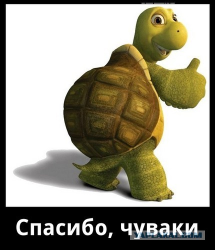 "Спасибо, человек"