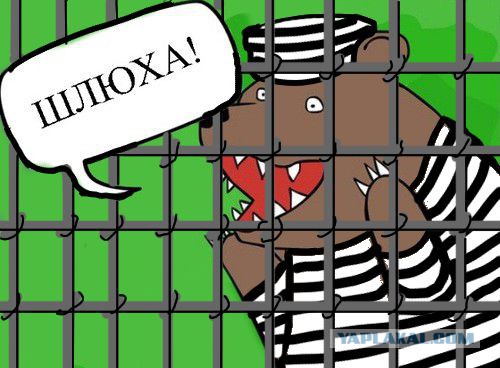 Веселый случай, кто виноват