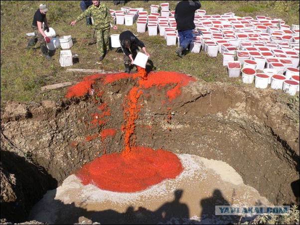 Обычный день..