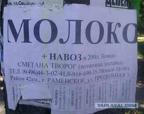 Смешные комментарии из социальных сетей (апрель)
