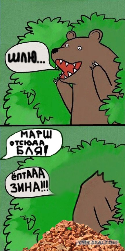 Медведи почти на все случаи жизни