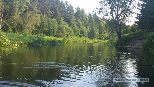 Когда вы плюсуeтe тему в платине