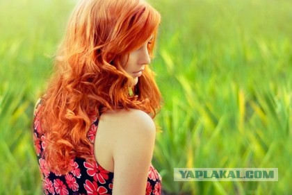 Добряки, плюсующие всех подряд
