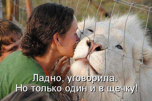 Веселые картинки.