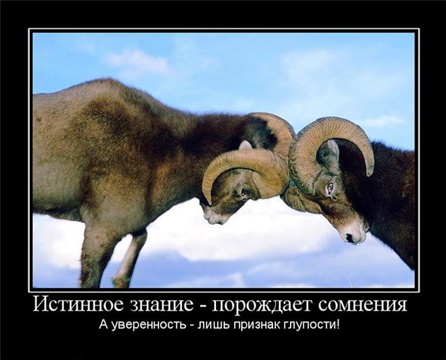 Вегетарианцам понравится