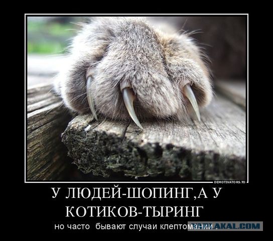 Очередная порция картинок из сети