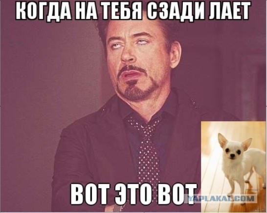 Картинки из сети на вторую часть пятницы
