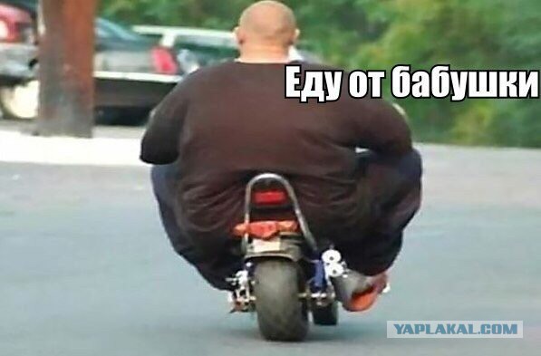 Забавные картинки из сети