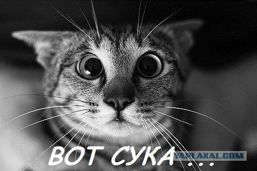 Подготовка к пьянке. Практическое руководство.