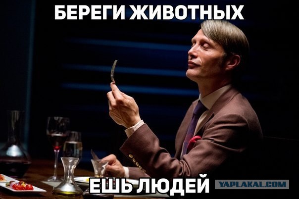 Можно ли христианину есть мясо?